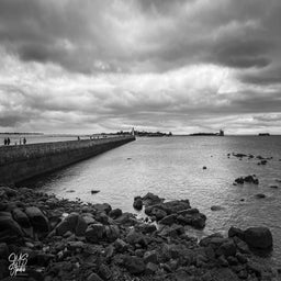 8c85ae19-53d9-4ca6-ab6b-827787e2f3a1-standard.jpg