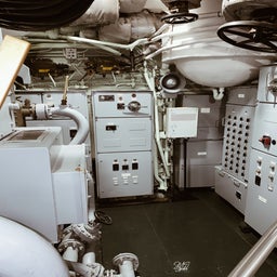 b5cef79f-7a85-432f-8d37-175b58a62de1-standard.jpg