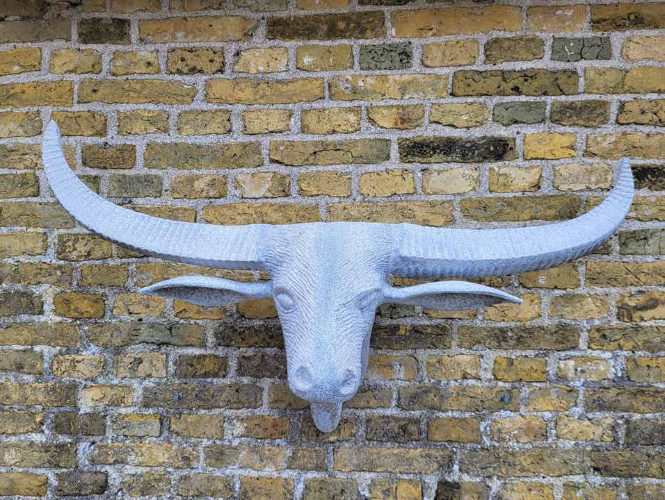 Longhorn