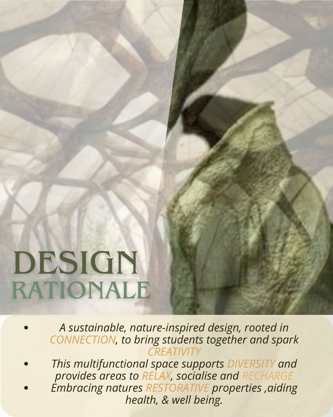 final-design-rationale-standard.jpg