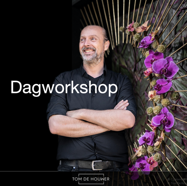 Dagworkshop Tom De Houwer