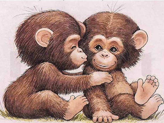 Diamond painting aapjes