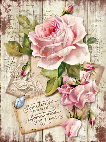 Diamond painting vintage roos