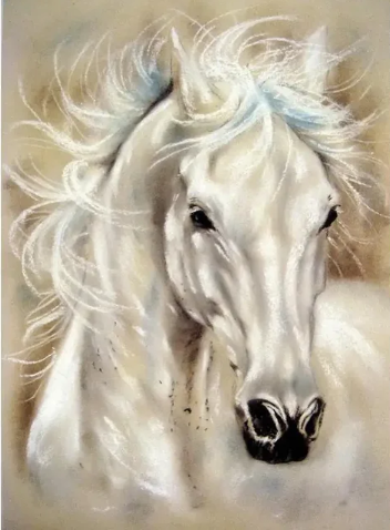 Diamond painting wit paard