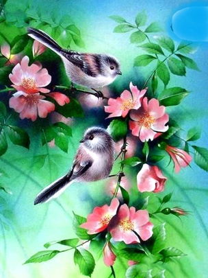 Diamond painting vogeltjes