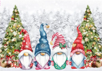 Diamond painting gnomes (kerst)