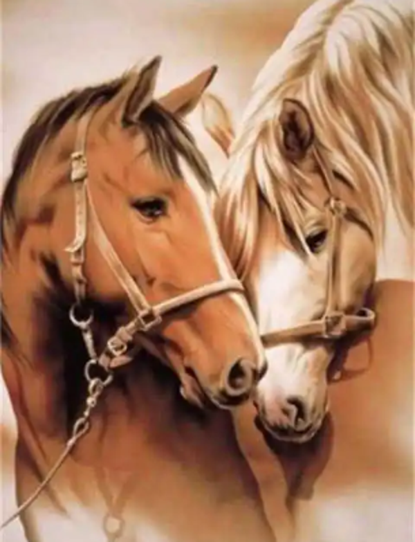 Diamond painting paardenhoofden