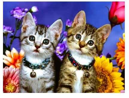 Diamond painting poesjes