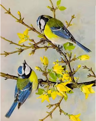 Diamond painting koolmeesjes