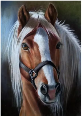 Diamond painting paardenhoofd