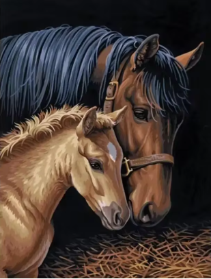 Diamond painting paardenhoofden