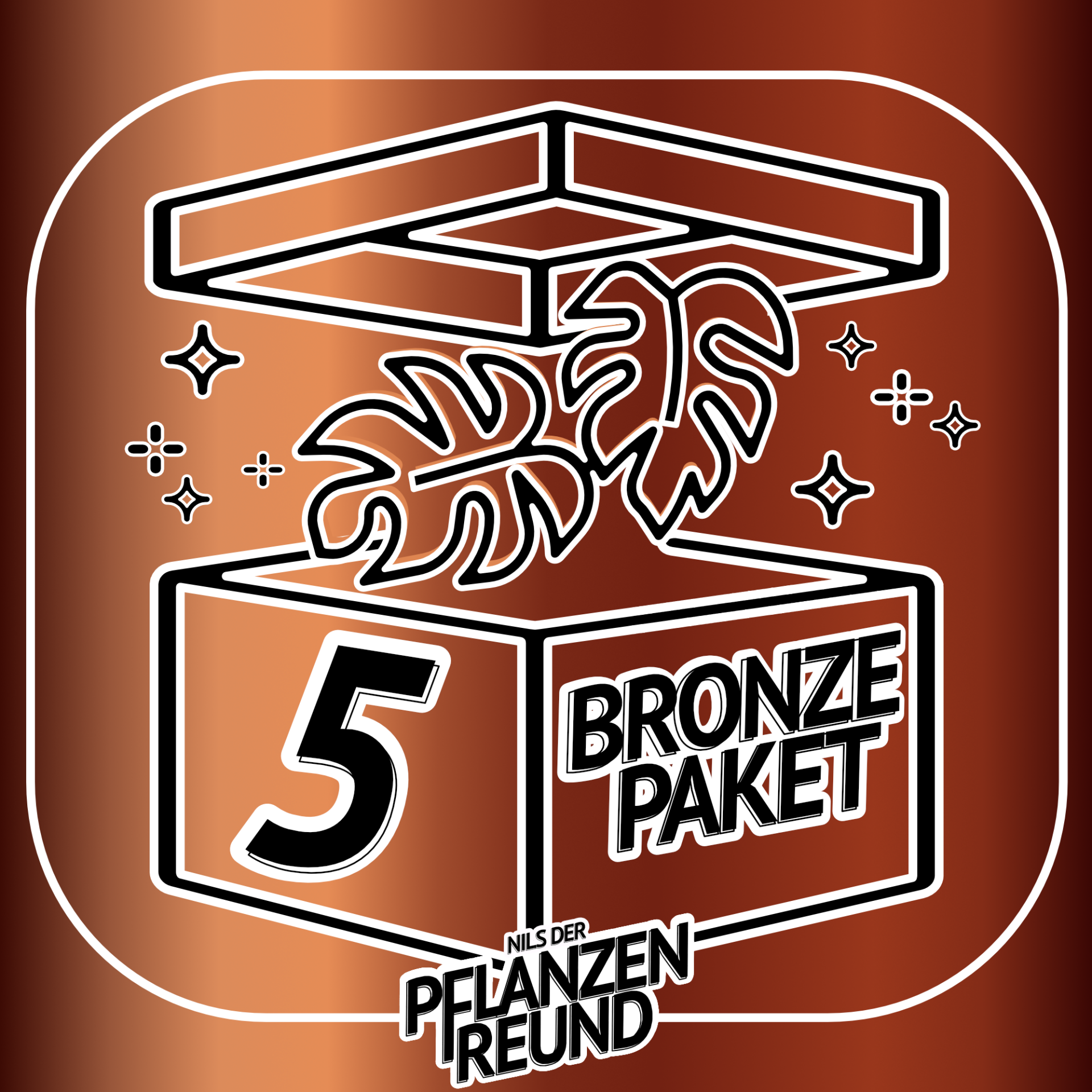 Pflanzenfreund's "BRONZE-PAKET 5" (Monstera, Philodendron, Alocasia, uvm.)