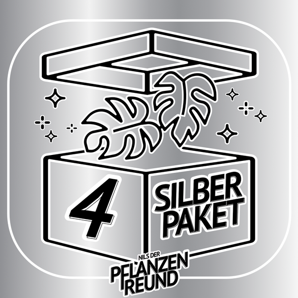 Pflanzenfreund's "SILBER-PAKET 4" (Monstera, Philodendron, Alocasia, uvm.)