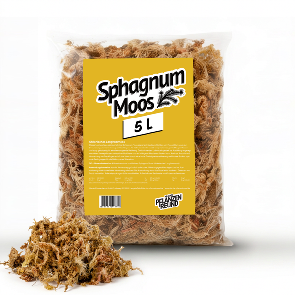 Sphagnum Moos (Chile) – Hochwertiges Premium Langhaar-Moos für Feuchtigkeitsspeicherung