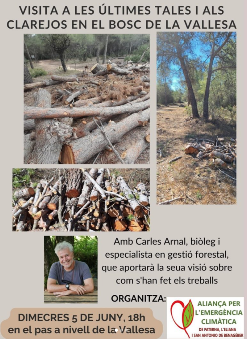 Charla sobre talas en zonas forestales