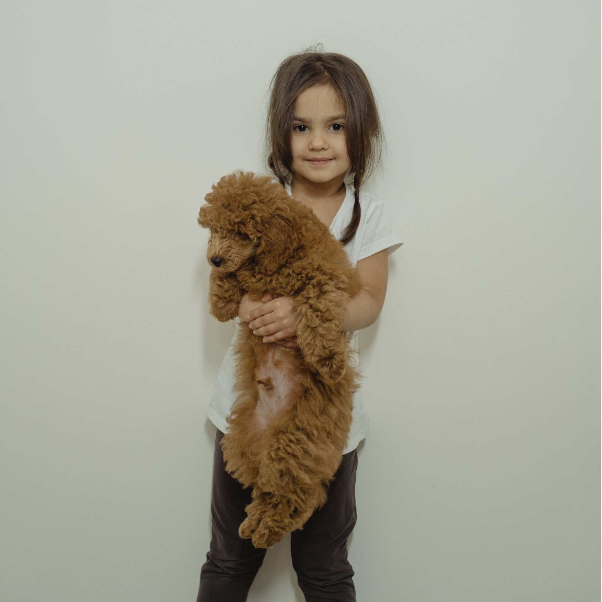 Phobie des chiens 7 ans et +