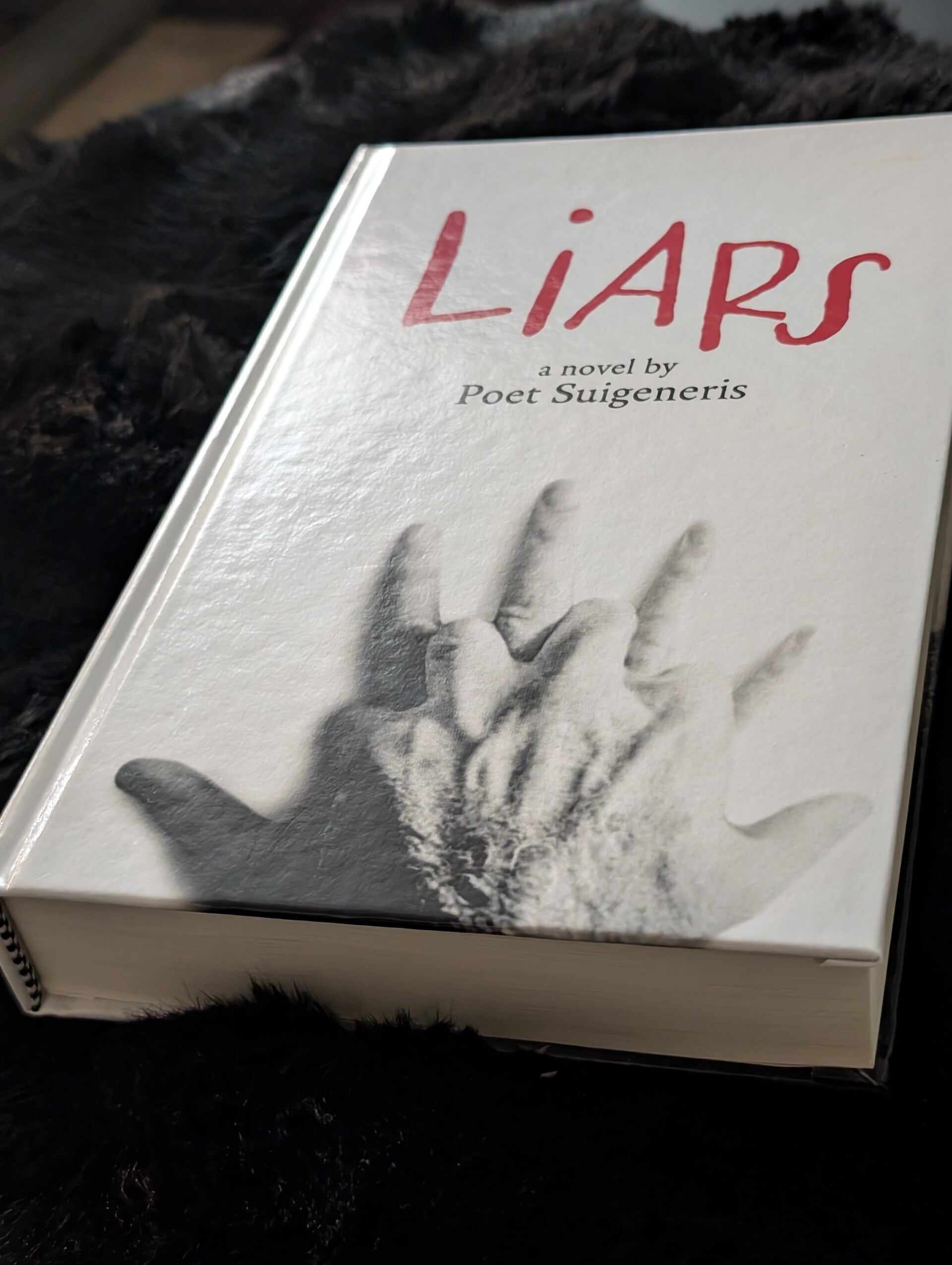 "Liars" [HARDCOVER] a novel (Suspense thriller) AUTOGRAPHED COPY