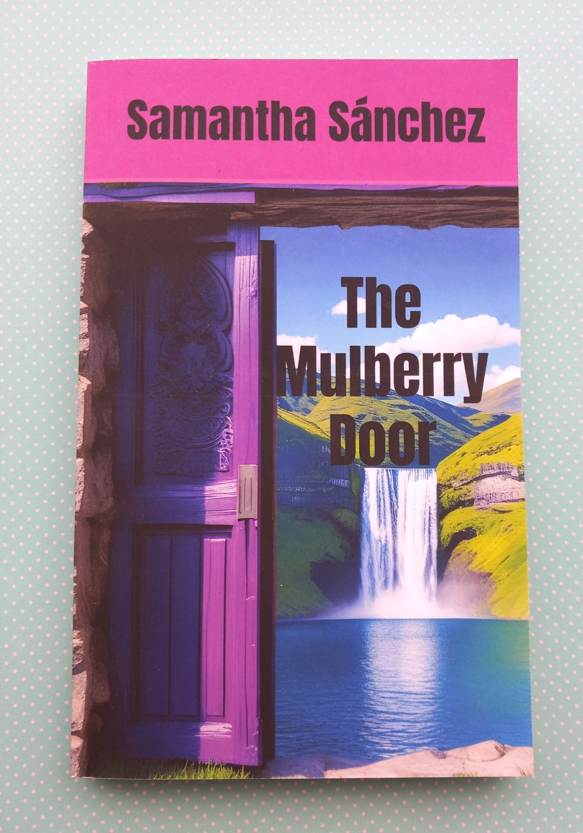 The Mulberry Door paperback english edition YA fantasy mental health