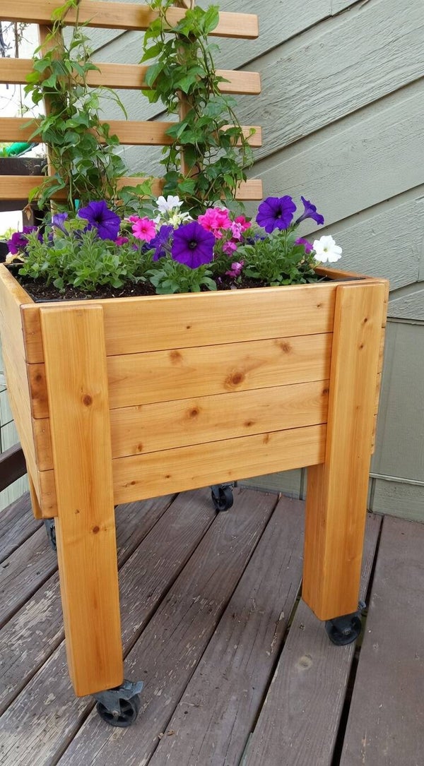 The Hot Wheels 2 x 2 Planter on Wheels with Trellis