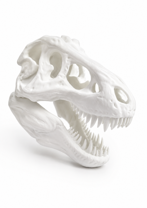 T-Rex Skeleton