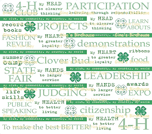 4-H Tumbler #2
