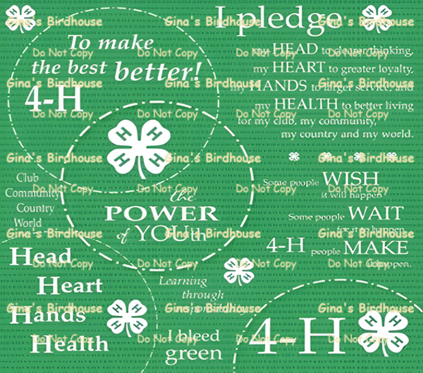 4-H Tumbler #3