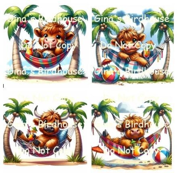 Highland Hammock Coasters