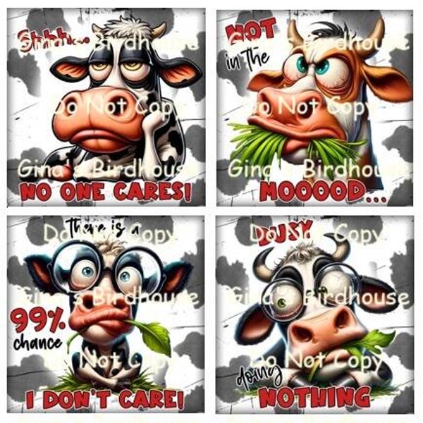 Moody Cow Coasters