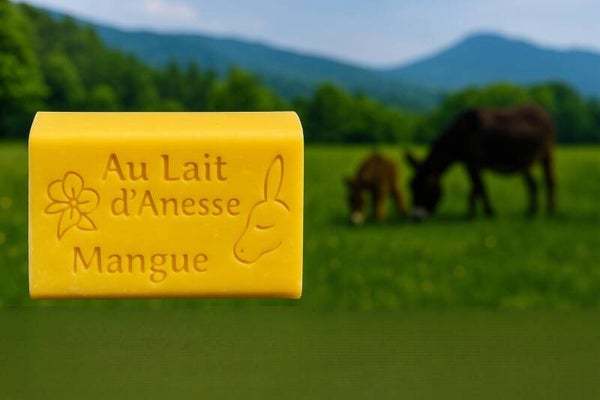 Savon au lait d'ânesse bio - Mangue