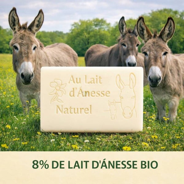 Savon au lait d’ânesse bio – naturel, sans parfum