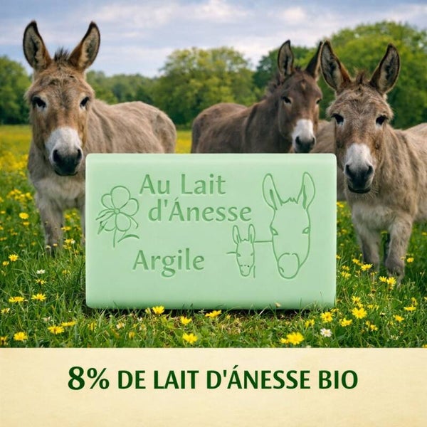 Savon au lait d’ânesse bio – argile