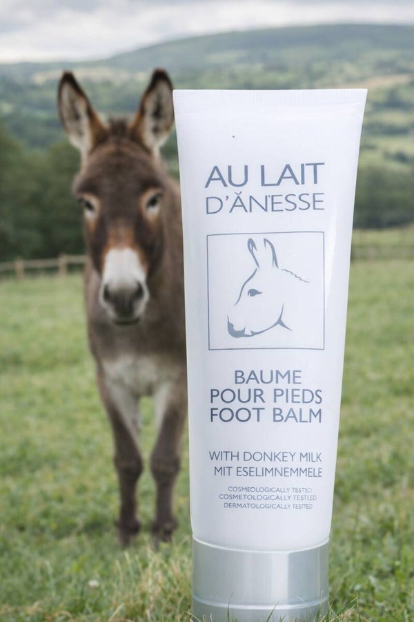 Baume pieds 30 % lait d’ânesse bio