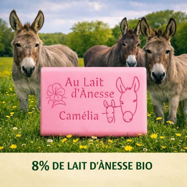 Savon au lait d’ânesse bio – camellia