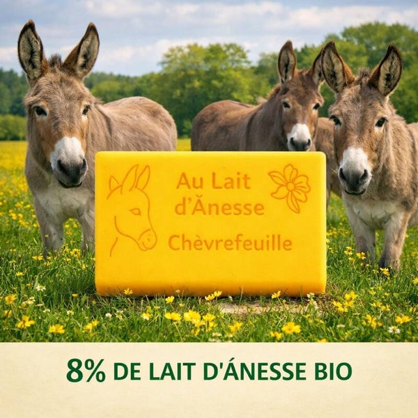 Savon au lait d’ânesse bio – chèvrefeuille