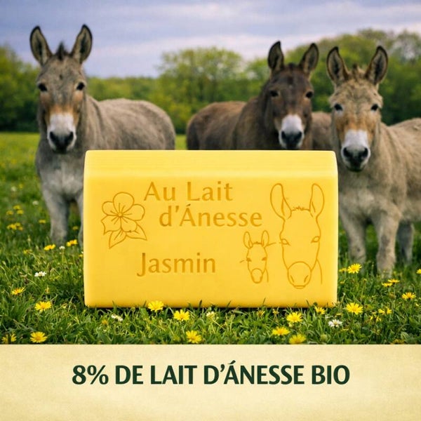 Savon au lait d’ânesse bio – jasmin