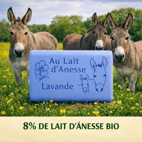Savon au lait d’ânesse bio – lavande