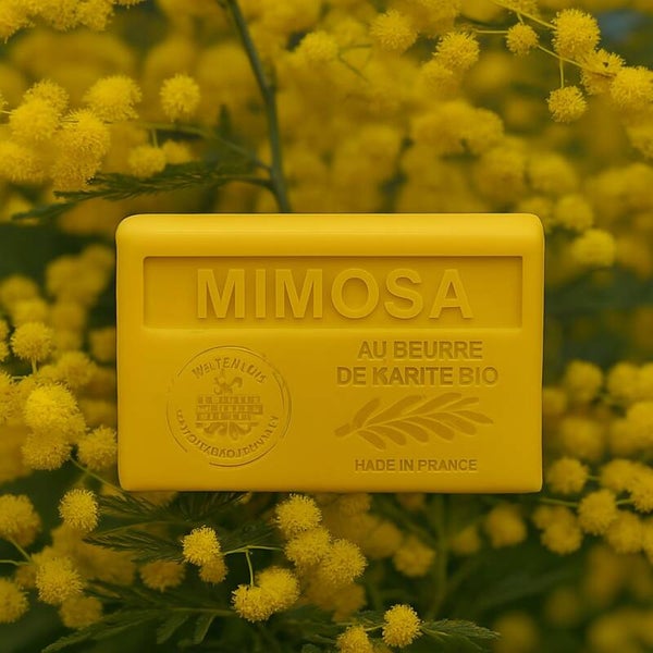 Savon à la fleur de mimosa – Éveil lumineux