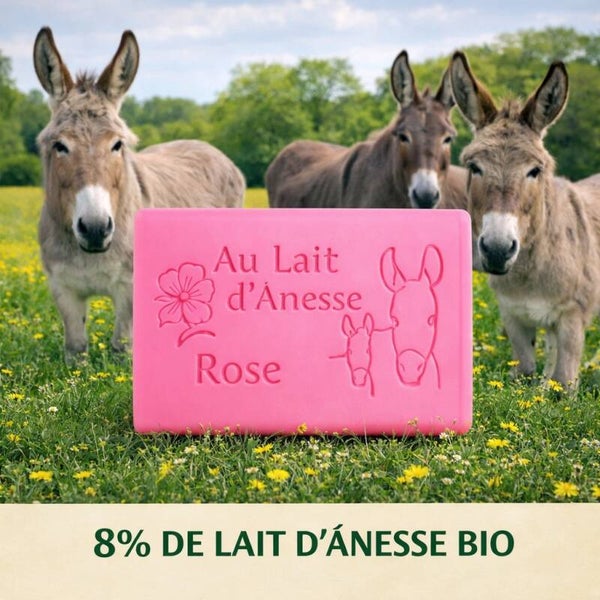 Savon au lait d'ânesse bio - Rose