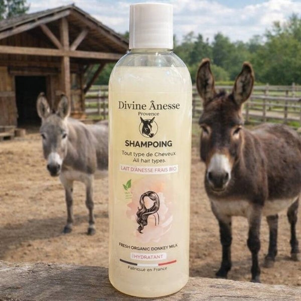 Shampoing au lait d’ânesse bio – Hydratation naturelle et douceur artisanale