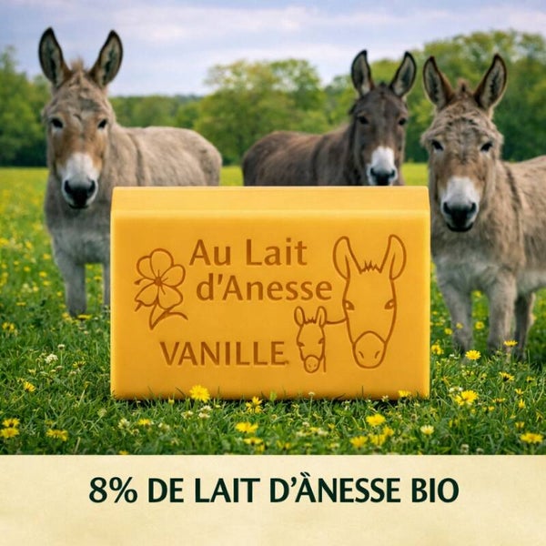 Savon au lait d’ânesse bio – vanille
