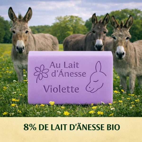 Savon au lait d’ânesse bio – violette
