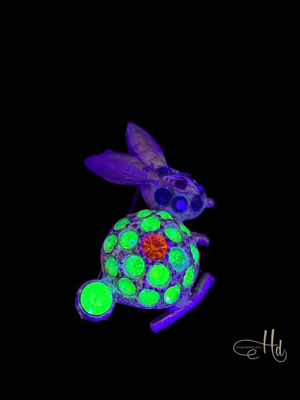 Some-bunny Special is Ready to Glow