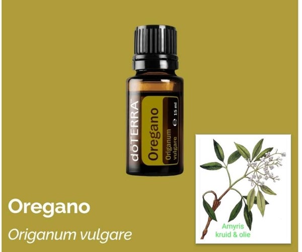 Oregano olie