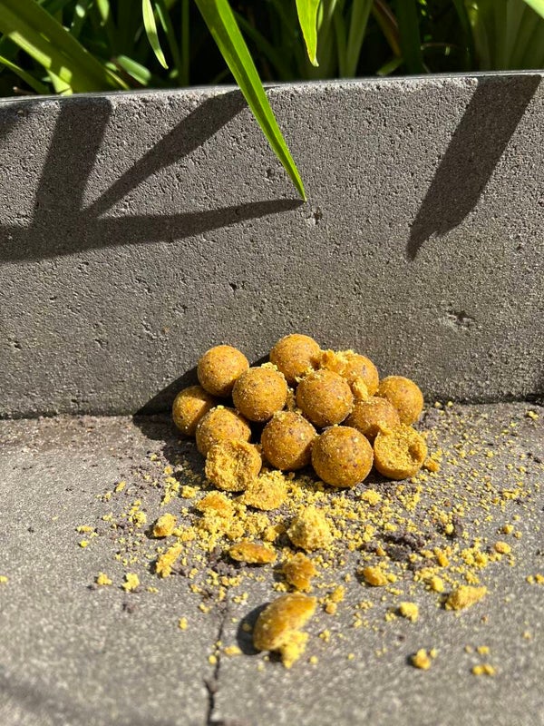 Scopex boilies 20mm