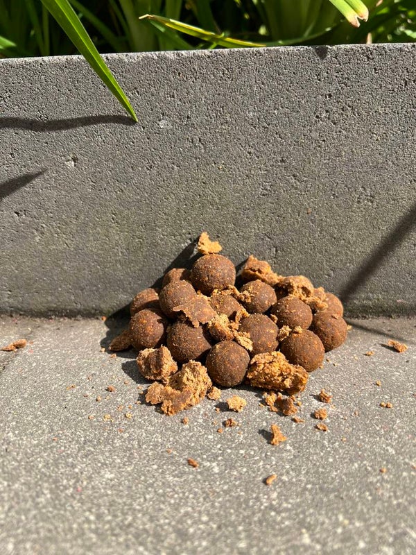 Pure salty fish boilies