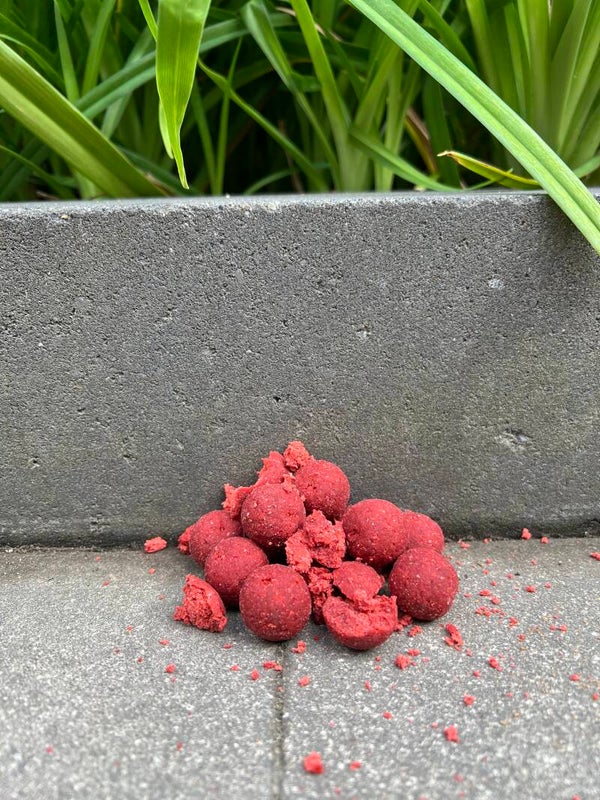 Red spicy shellfish boilies