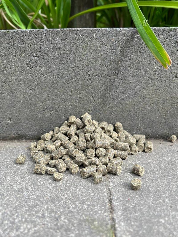 Pure hempseed pellets