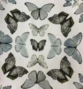 05144 - Quarry Butterfly Cabinet KC