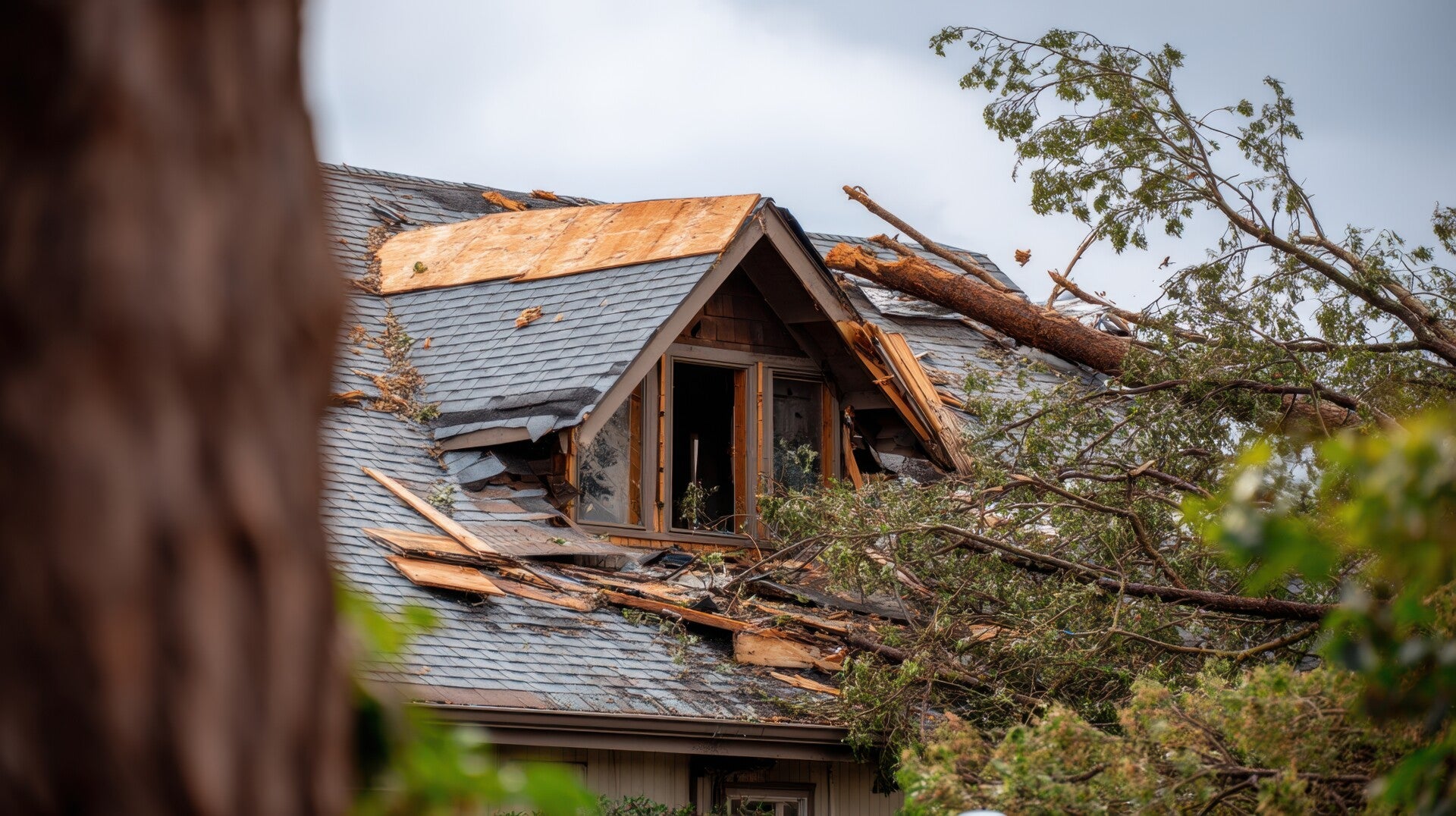 House roof damaged by fallen tree branches exposing interior structure.