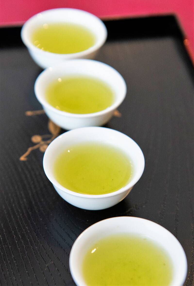 SENCHA
